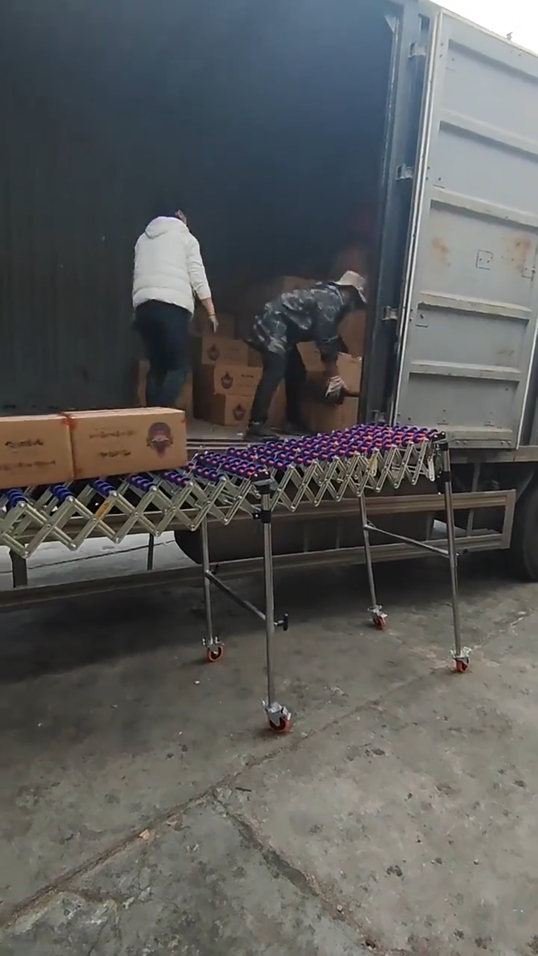 案例 滑轮输送机 纸箱装 食品 输送 卸货